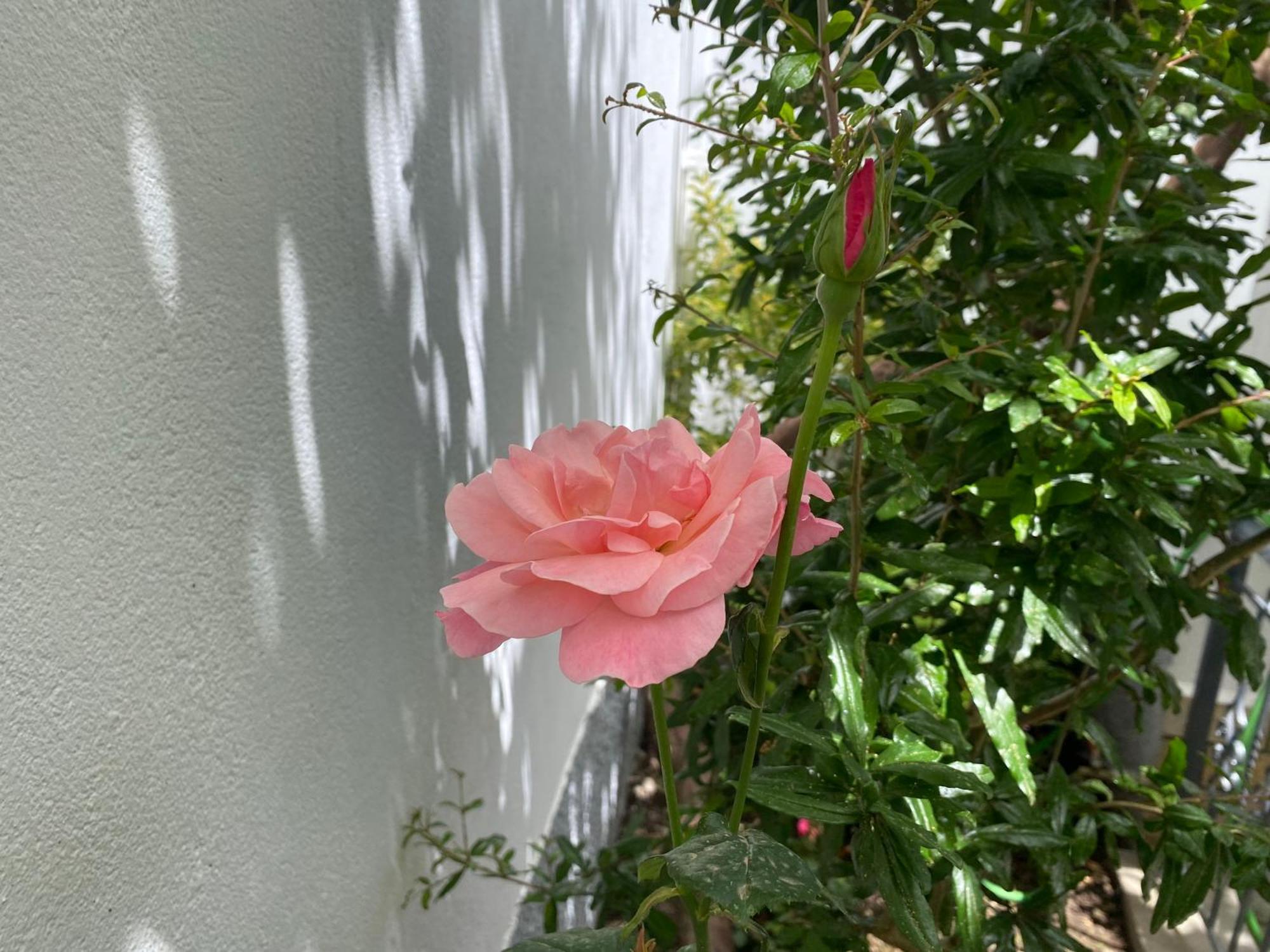 Gjirokastër Guest House Persa מראה חיצוני תמונה